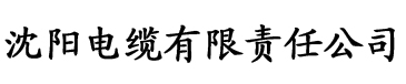 私人电缆厂logo